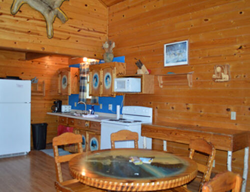 Timber Wolf: 3 Bed